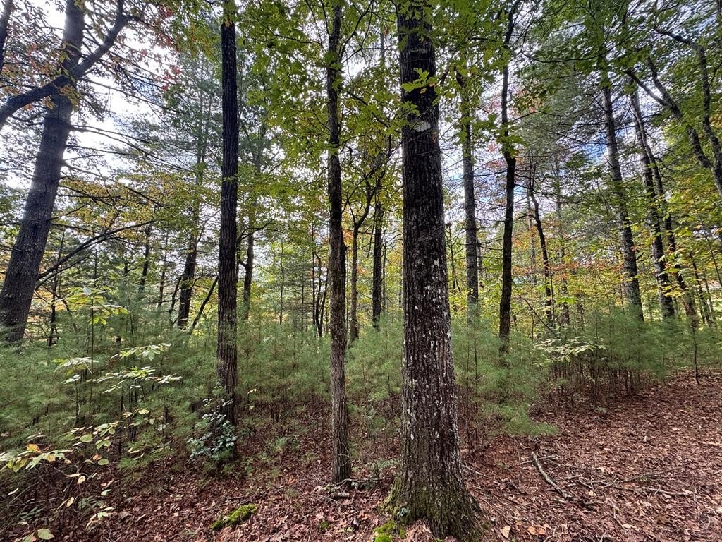 Other - Big River Dr. lot: 10, Franklin, NC