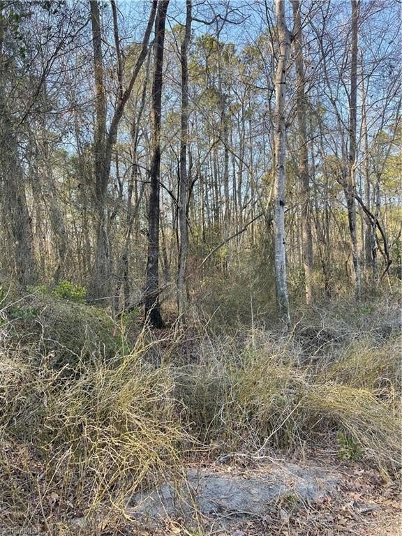 Single Family - Quiet Oak Road, Carthage, NC