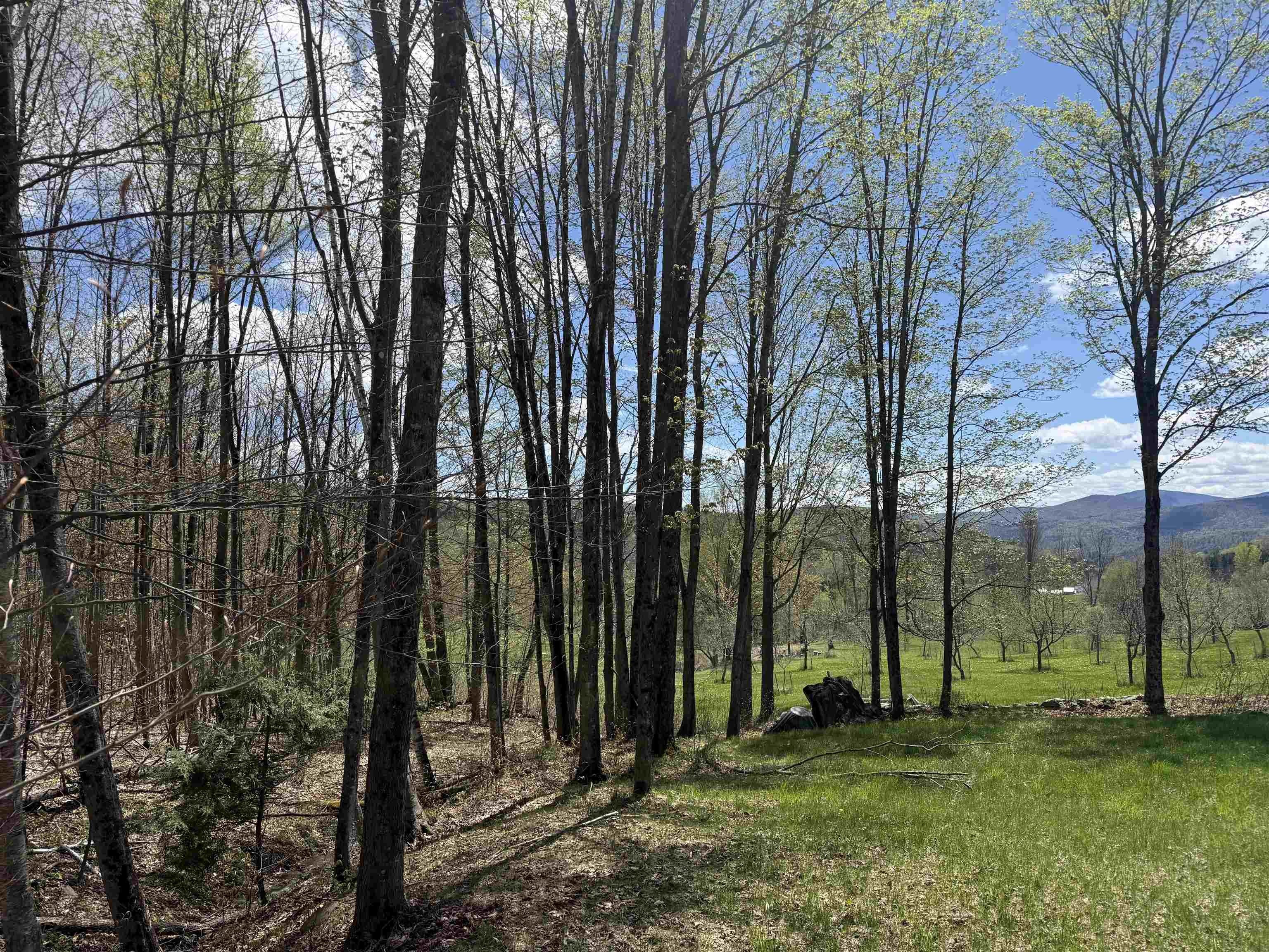 Other - 2527 Bent Hill Road, Braintree, VT