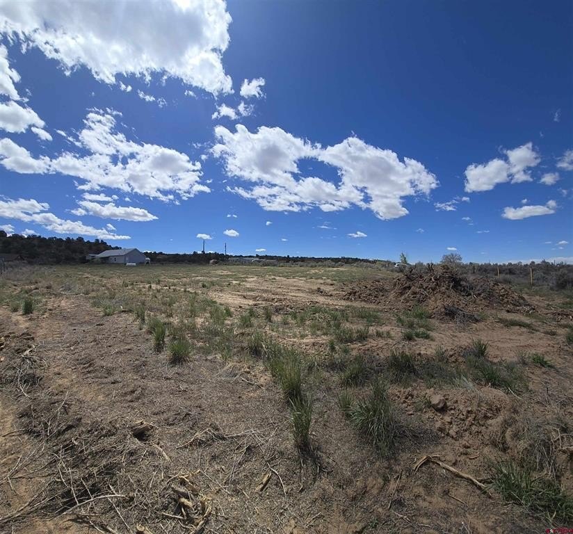 Single Family - 58 Road 2392, Aztec, NM