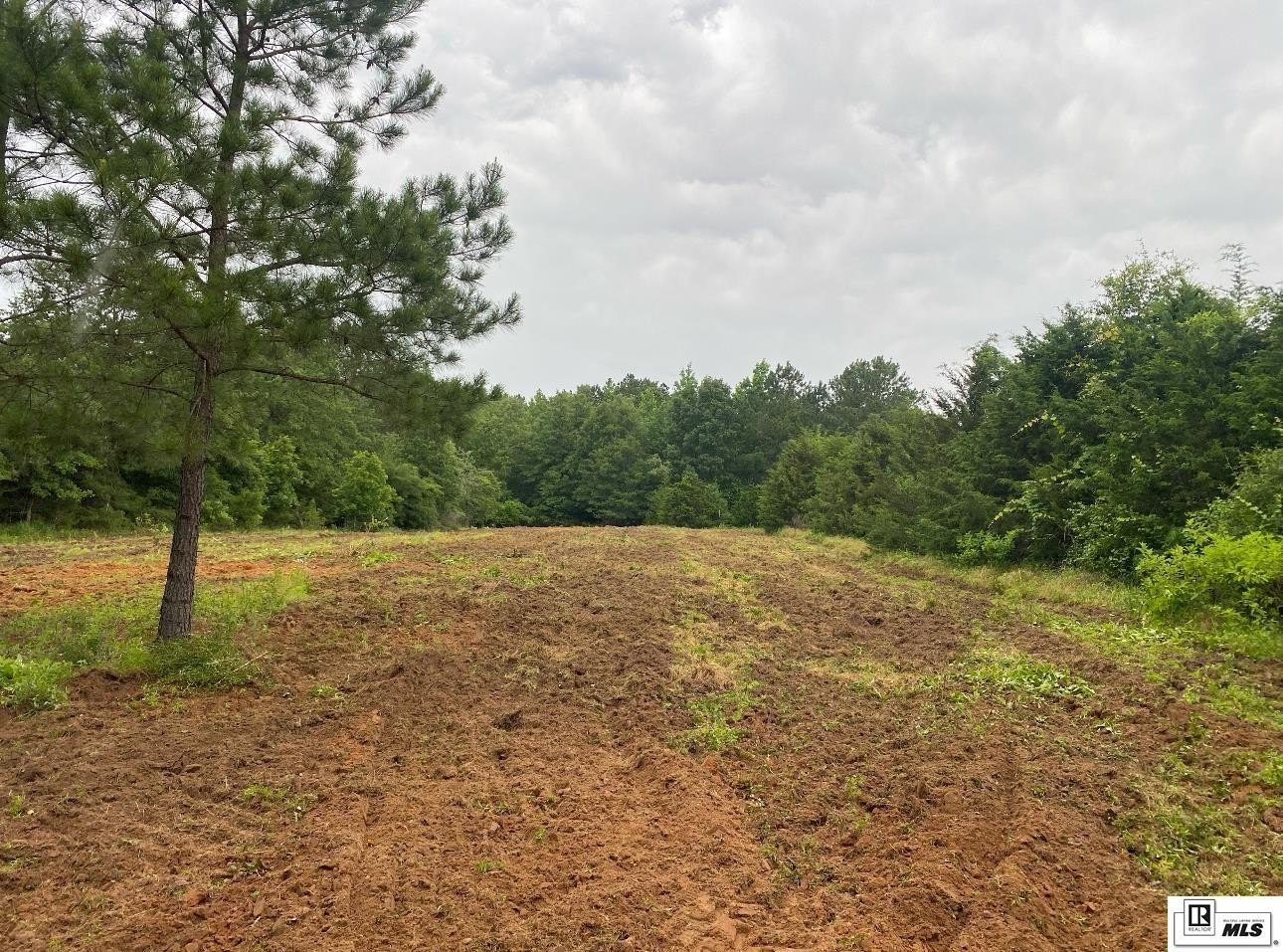 Other - SIX MILE ROAD, Saline, LA