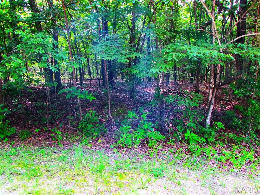 Other - Lot315 Sec6 Marion Drive, De Soto, MO