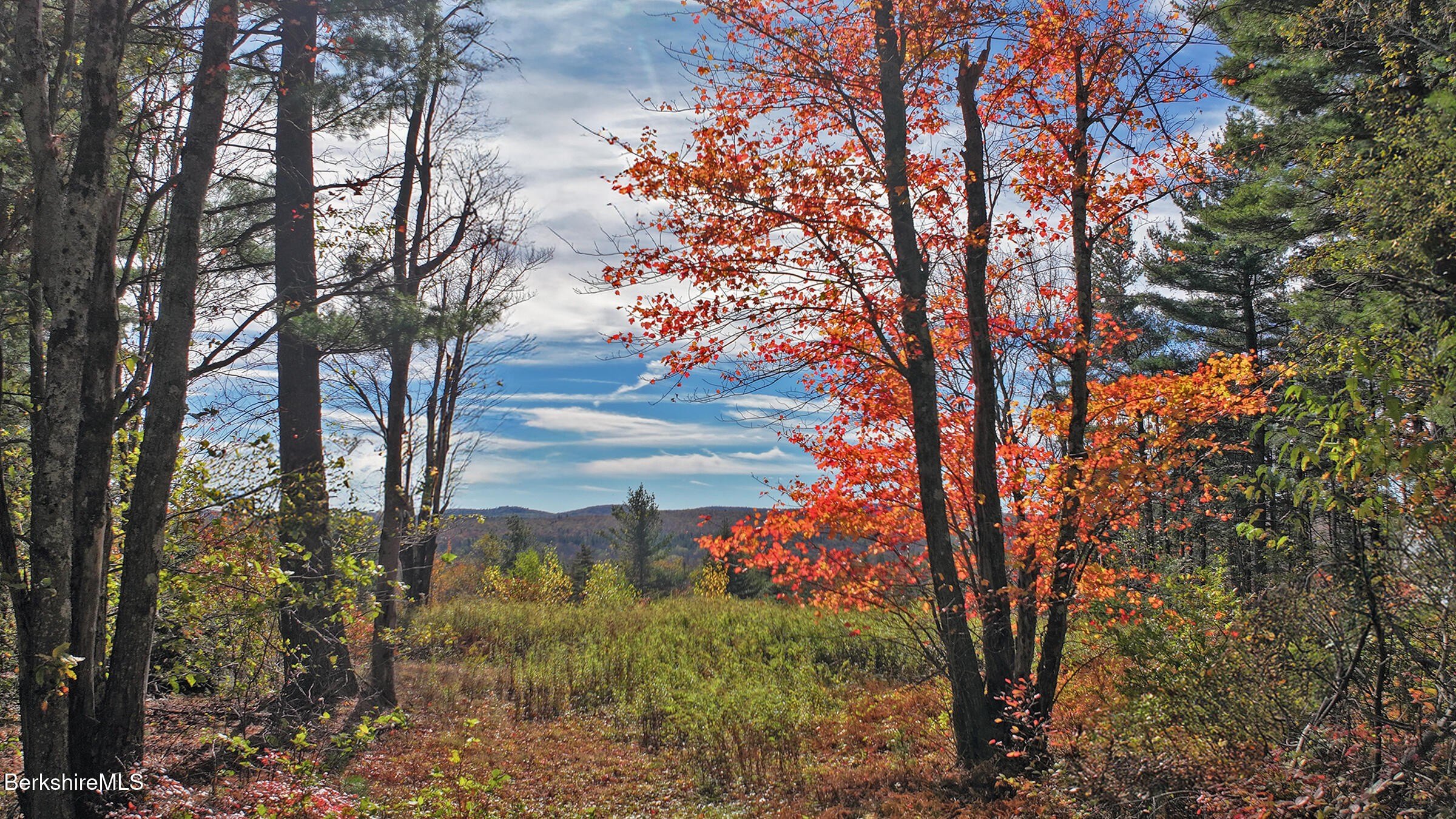 Other - 1570 B Washington Mountain Road, Washington, MA