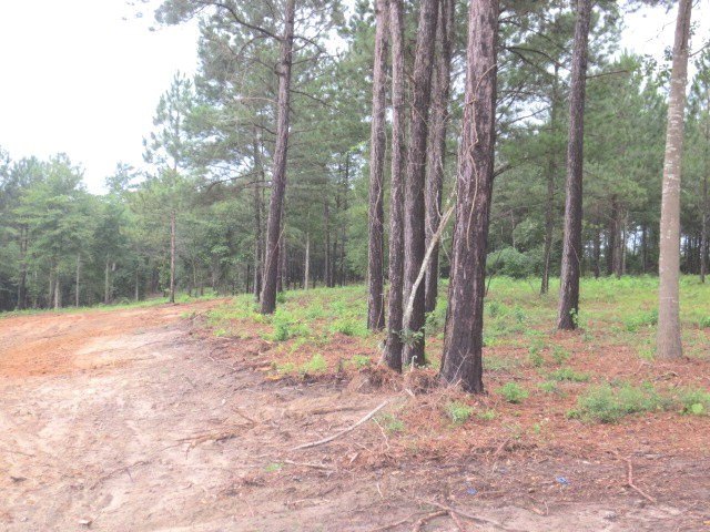Other - 50 Tillery Place, Ellisville, MS