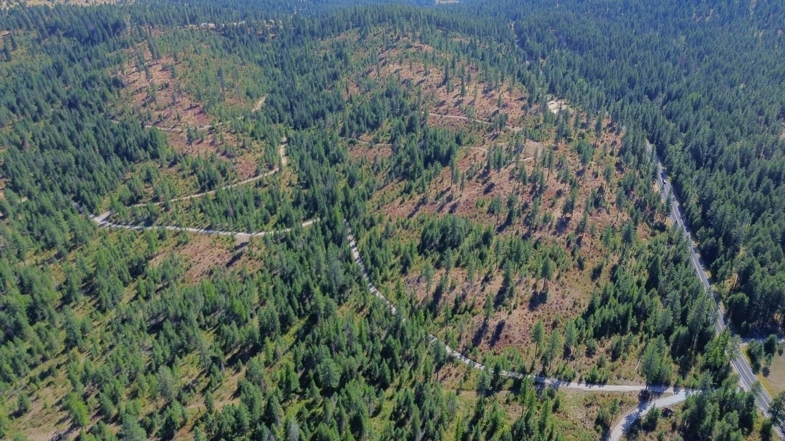 Other - 52XX LOT 5 SWENSON RD, DEER PARK, WA