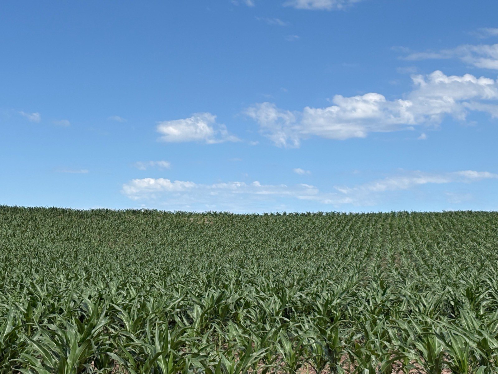Plots and Land - 598 HWY 14, Superior, NE