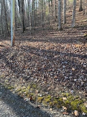 Other - 26 Soapstone Creek Circle, Hiawassee, GA