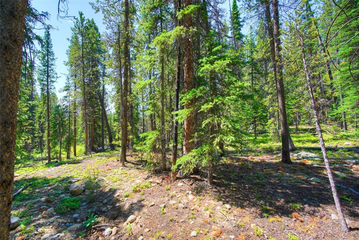 Plots and Land - 158 Bryce Estates Road, Breckenridge, CO