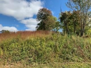 Other - 616 Thompson Creek Ln_Lot 73, Cookeville, TN