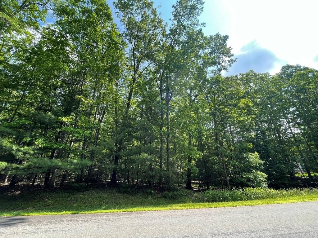 Other - Saddlebrooke Ln, DANIELS, WV