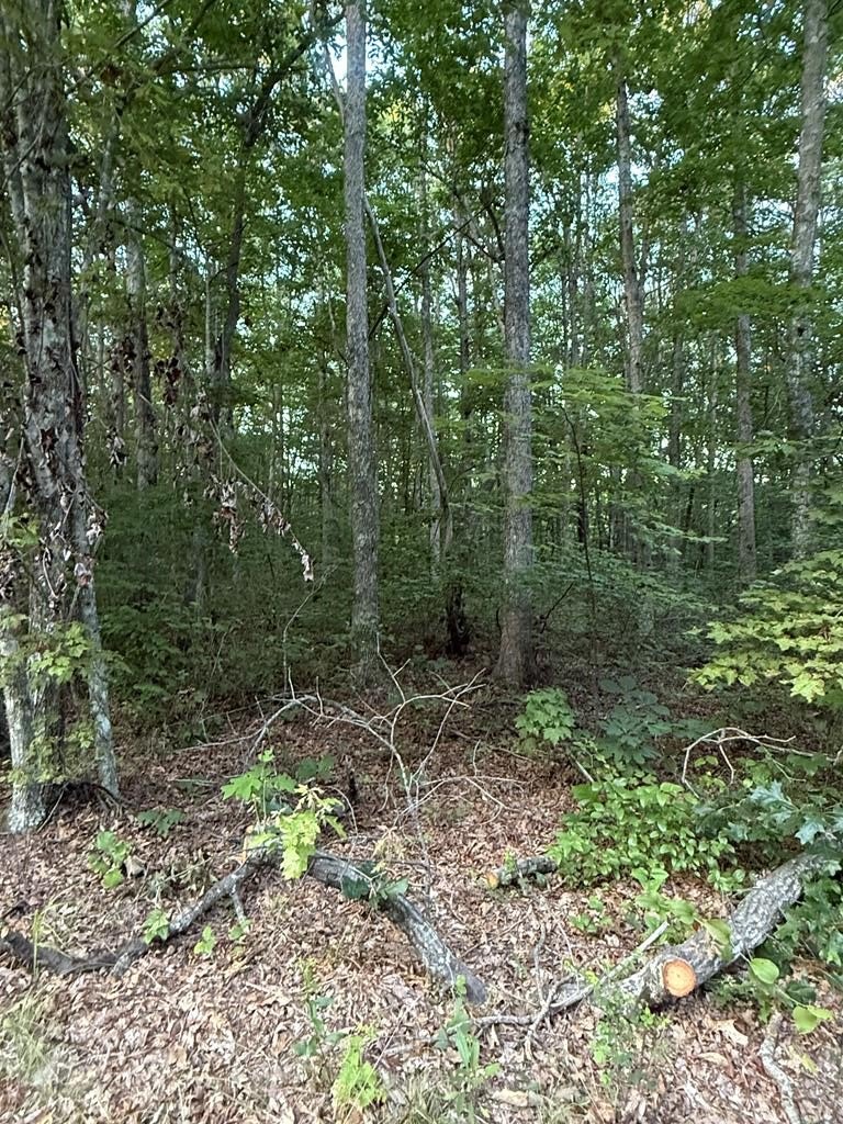 Other - Clyde Place lot: 5, Monterey, TN