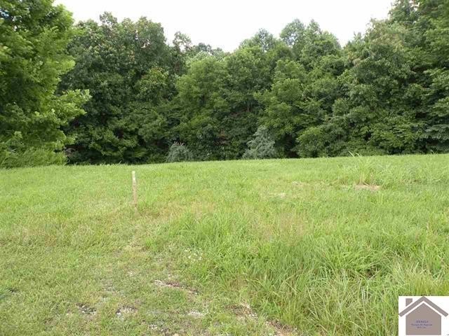 Other - ooo Corinne Road lot: 14, Eddyville, KY