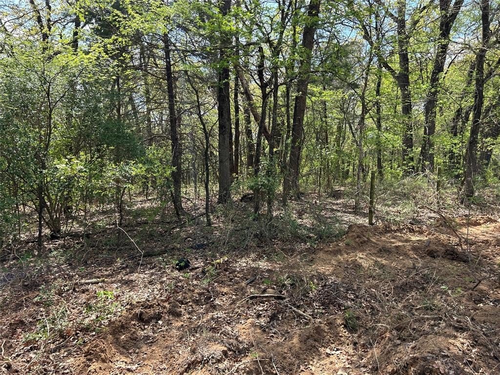 Other - 2112 Peterson Road, Denison, TX