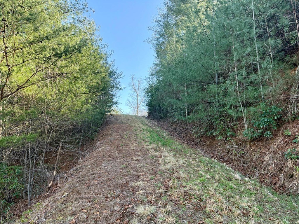 Other - Lost Indian Trail lot: 11, Whittier, NC