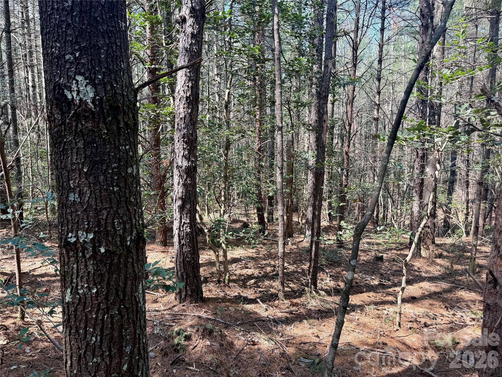 Other - 2494 Ivy Rays Way 41, Nebo, NC