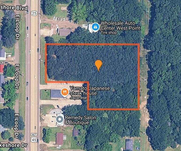 Single Family - Hwy 45 ALT, West Point, MS