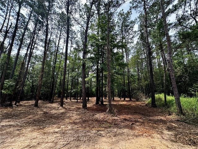 Lot 2 RANCHERO Rd  
