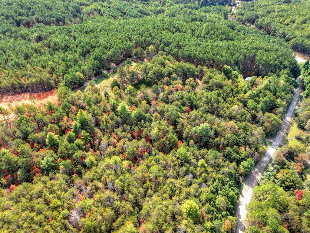 Other - 29.40 Ac Bethlehem Road, Copperhill, TN
