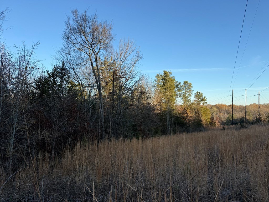 Single Family - 9.21 Acres Lee St and Elberton St, Calhoun Falls, SC