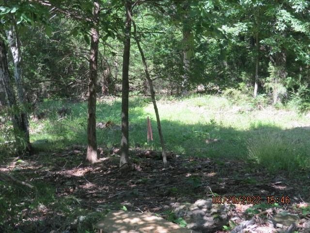 0000- Hwy 170 Devils Den W Hwy 170