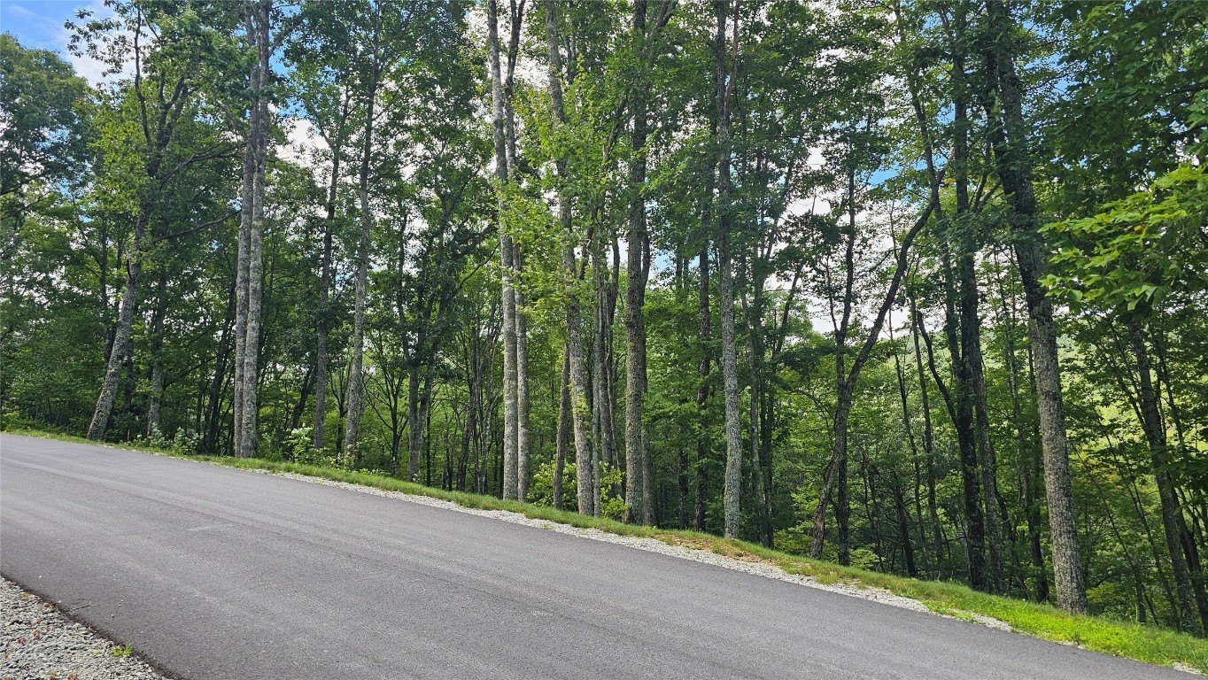 Other - C25 Roaming Road lot: C25, Glenville, NC