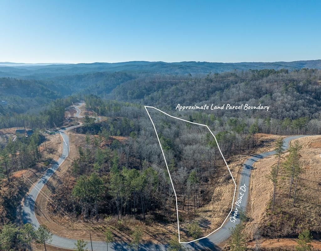 Other - Spear Point Dr lot: 244, Talking Rock, GA