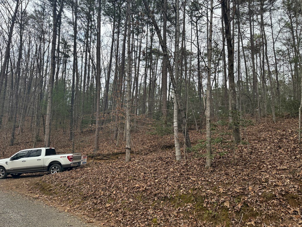 Other - 0 Kesrel Ridge Circle, MURPHY, NC
