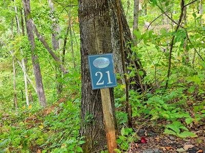 Other - Lot 21 Skyview Overlook, HAYESVILLE, NC