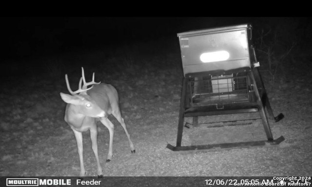 6116 Private Rd N Lot-19  