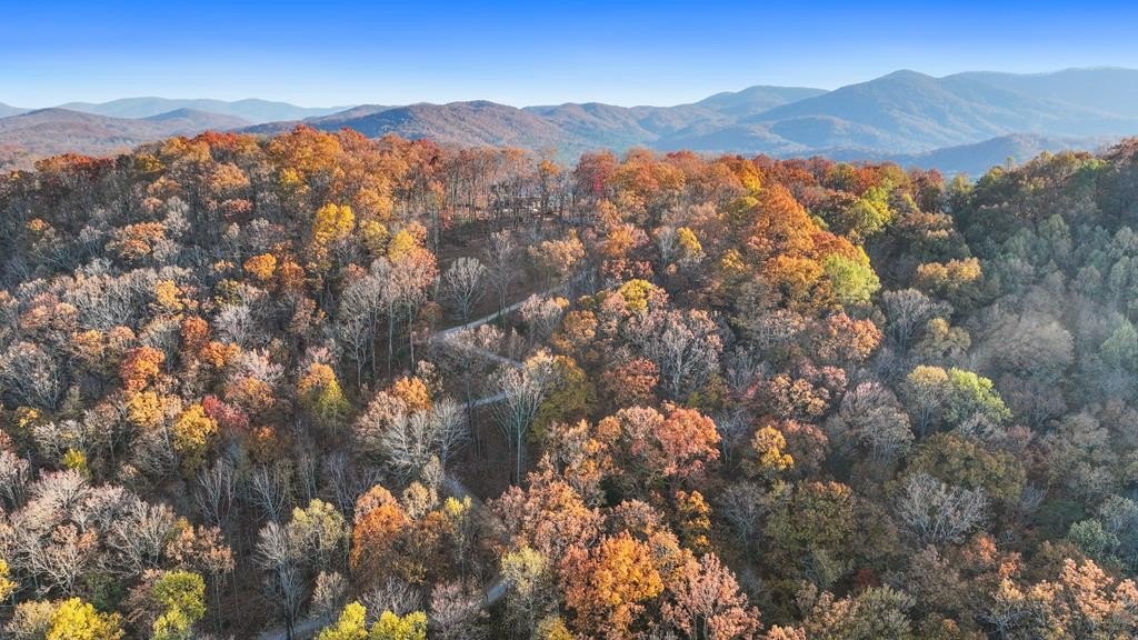 Other - Lot 4 Wilderness Way, Blue Ridge, GA