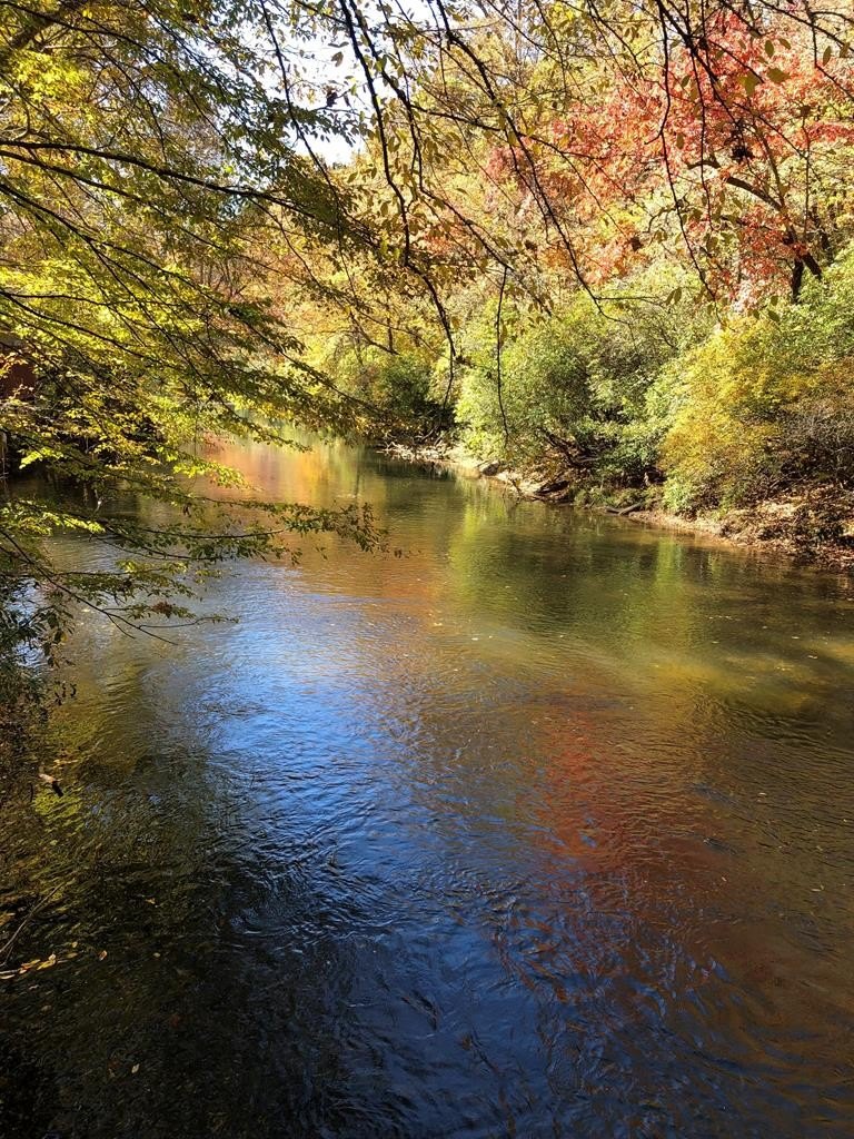 Other 3BR 2BA - 48 Riverwood Trail, Ellijay, GA