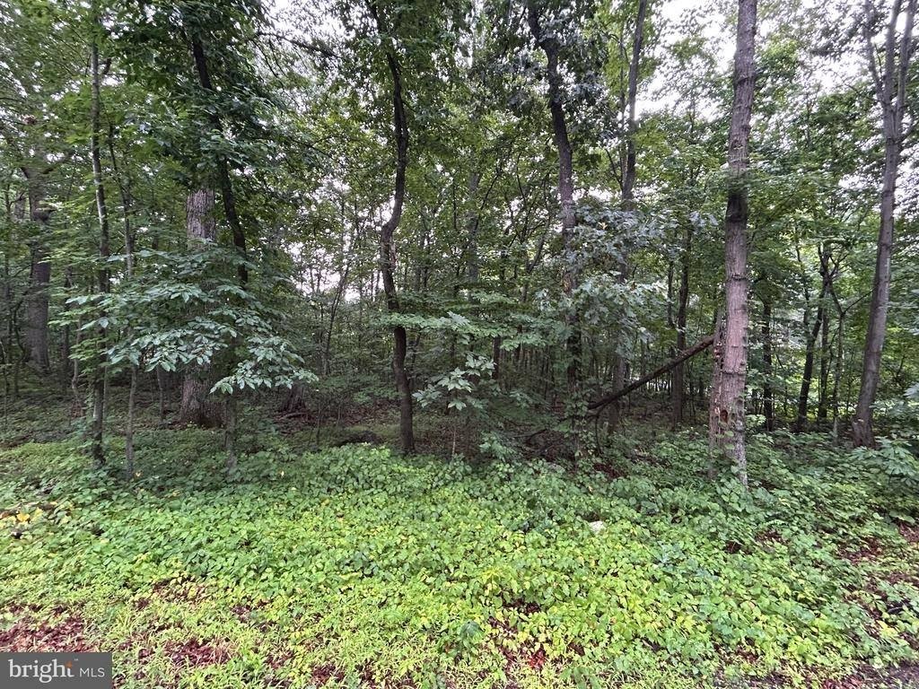 Other - Lot 27 Cochise Trail, Winchester, VA