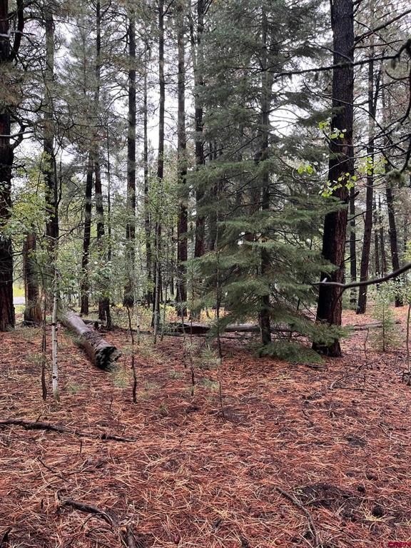 Single Family - 12482 CR 501, Vallecito Lake/Bayfield, CO