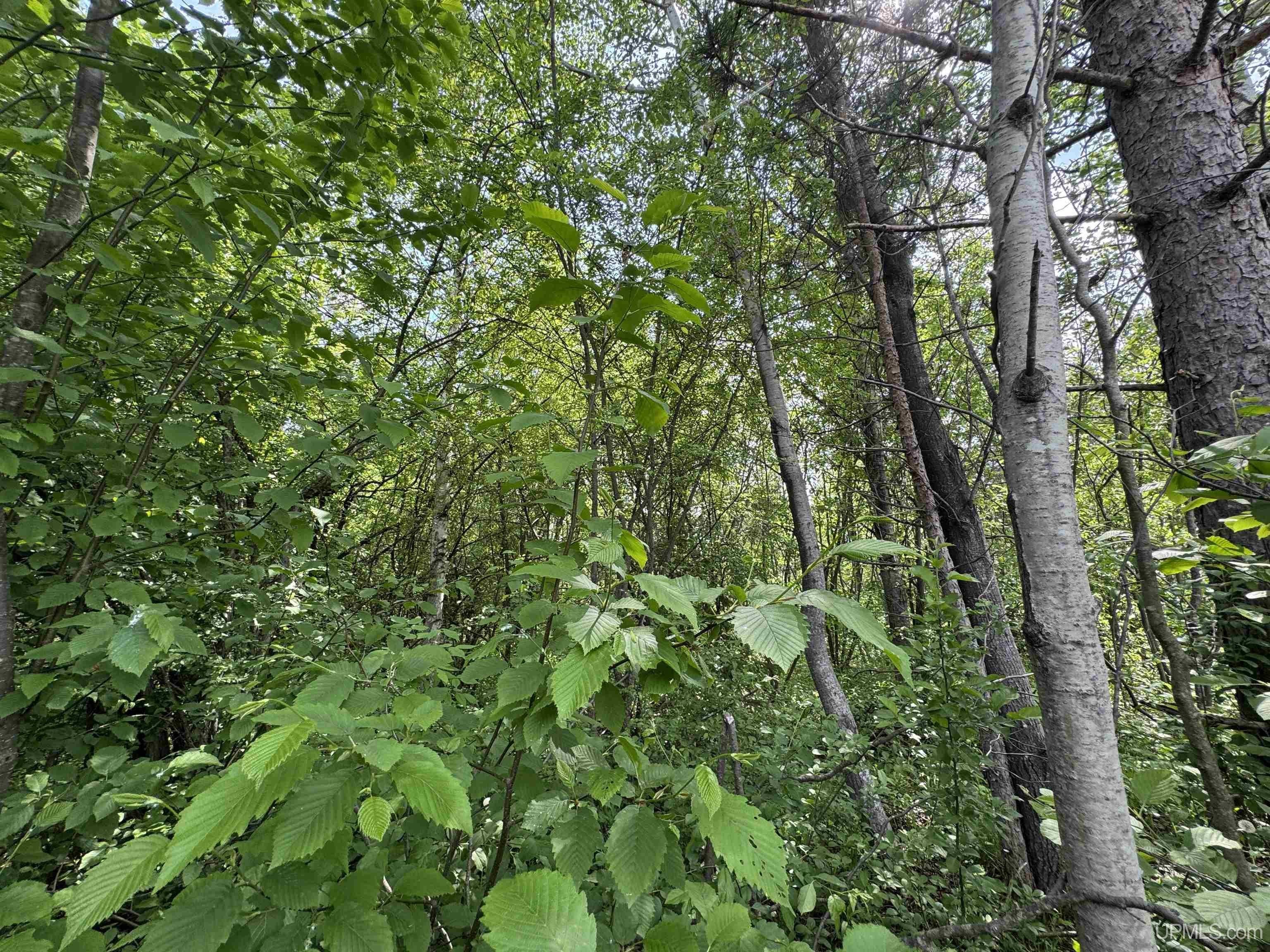Other - Summit View Drive lot: 13, Ironwood, MI