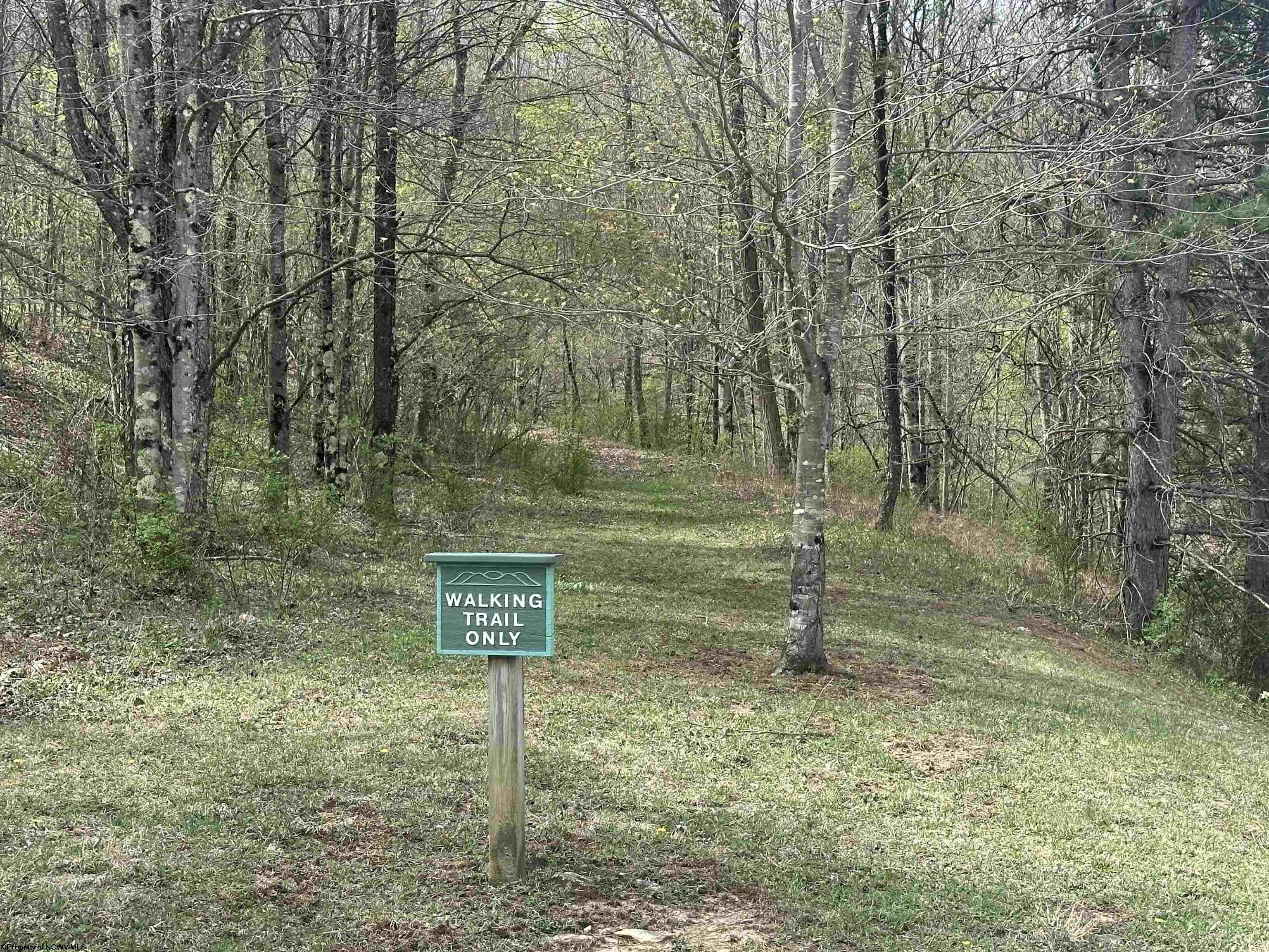 Other - Lot 1 Bonner Mountain Road, Red Creek, WV