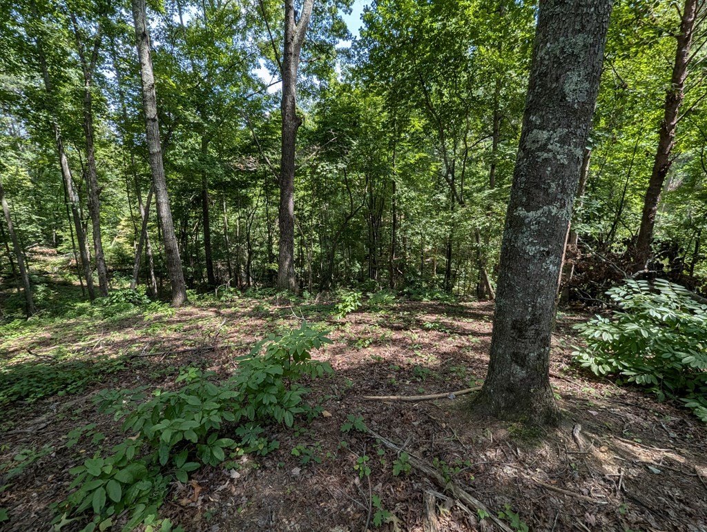Other - Lot 1 White Oak Circle, Blue Ridge, GA