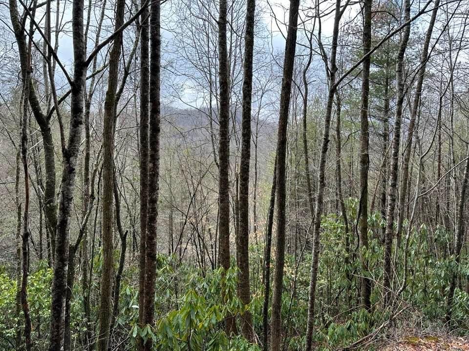 Other - Stillwind Dr lot: 16, Topton, NC