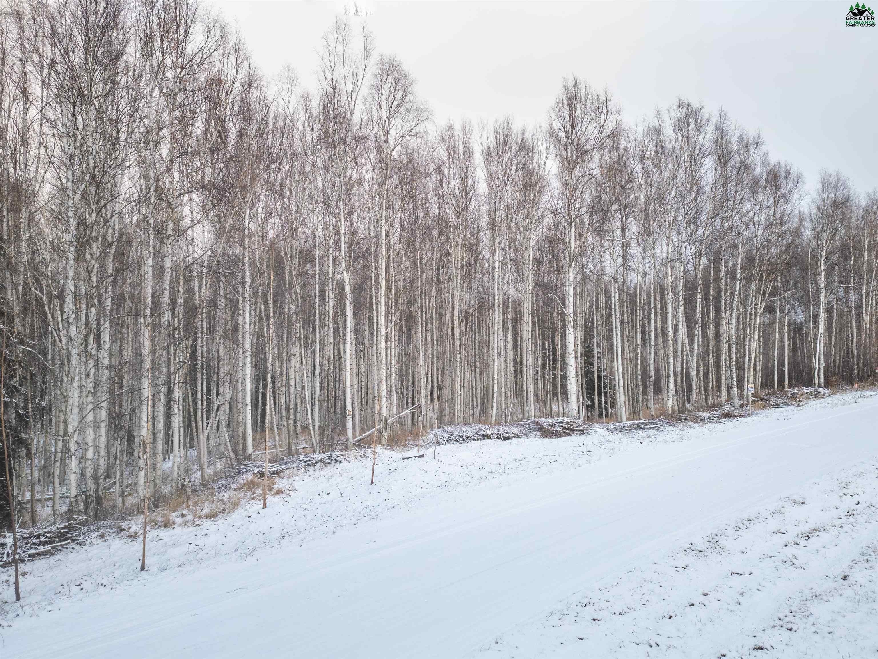Other - NHN BIRCH KNOLL ROAD, Fairbanks, AK