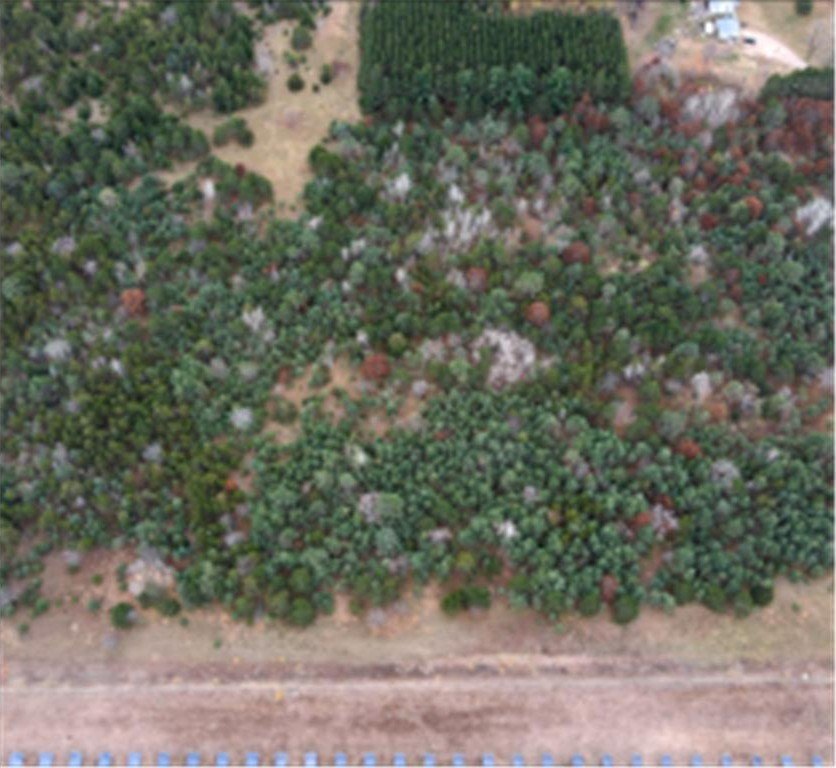 Other - Kable Avenue lot: 2, North Branch, MN
