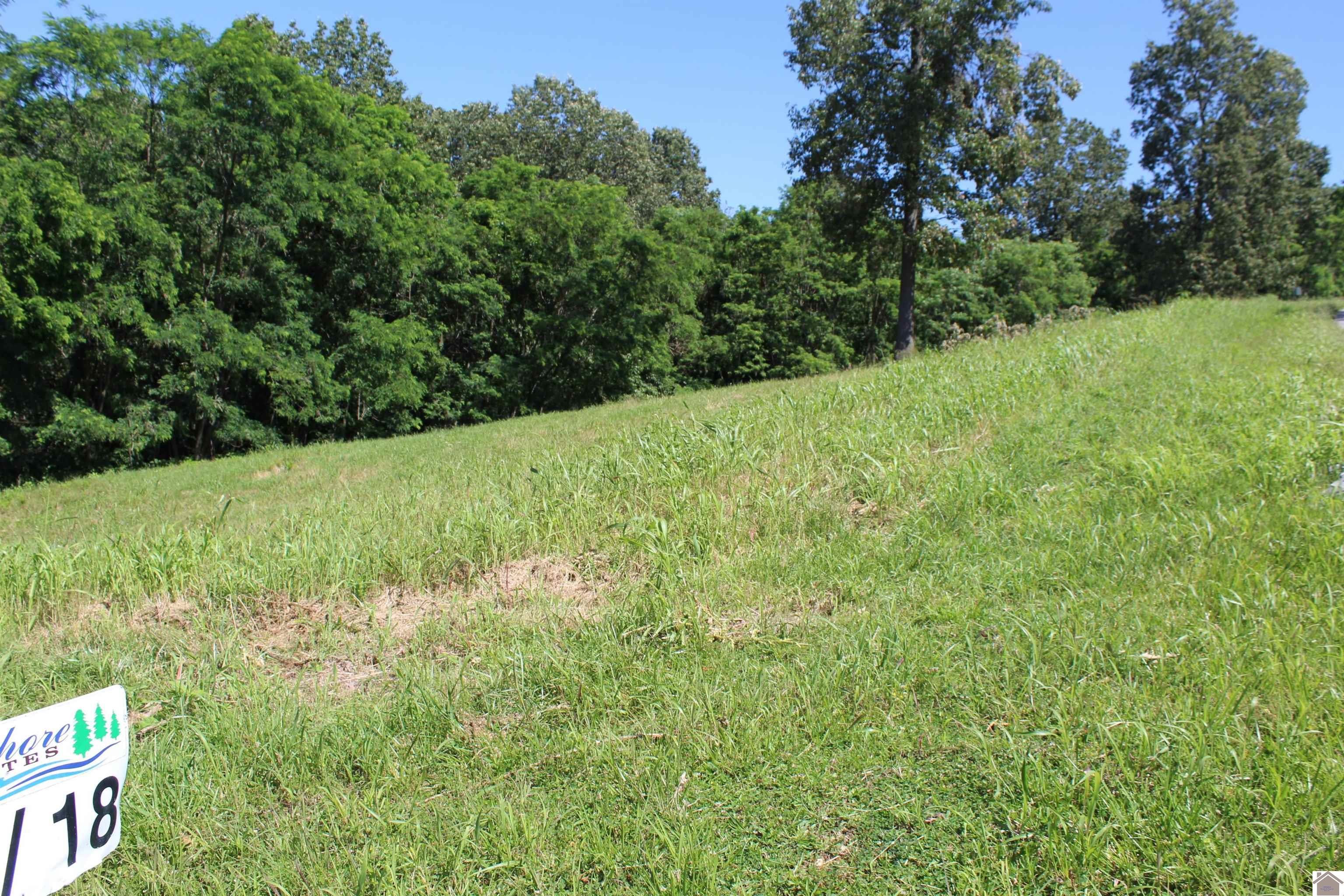 Other - Lots 18 Oak View Lane, Eddyville, KY