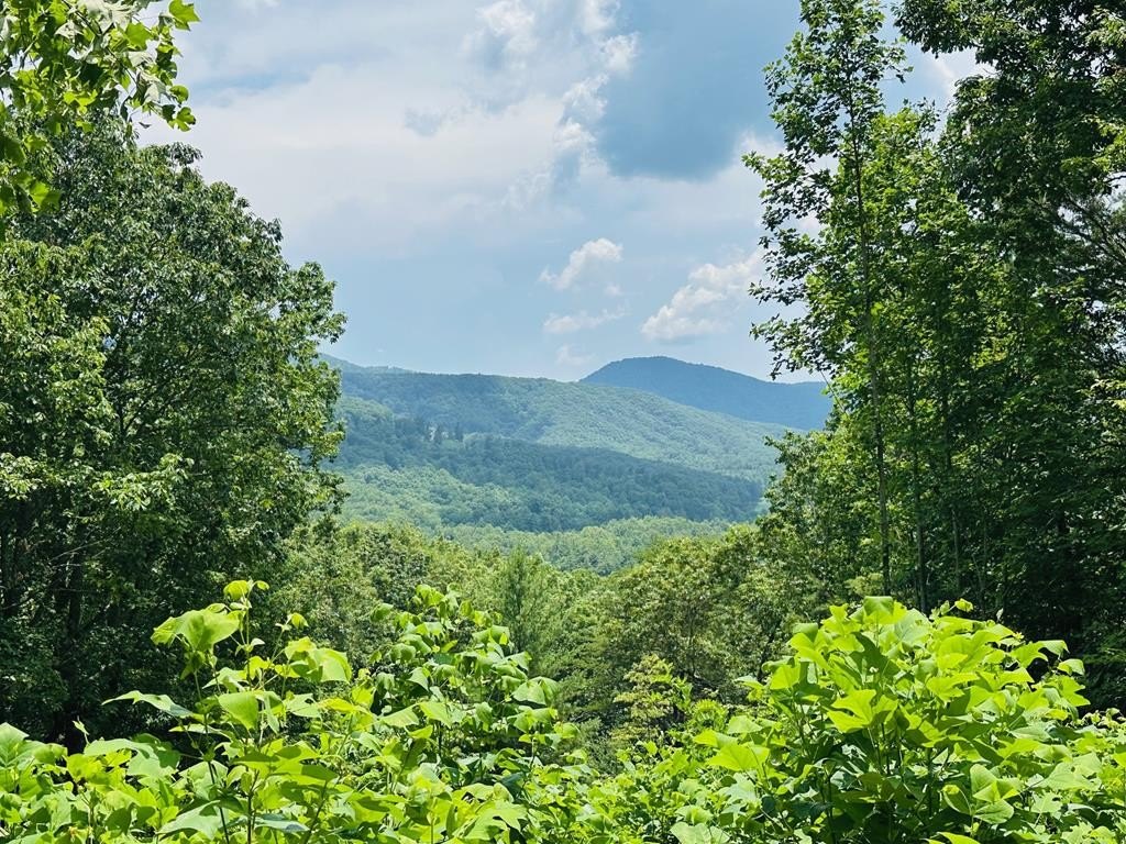 Other - Lot 14 View Ridge Trail, MURPHY, NC