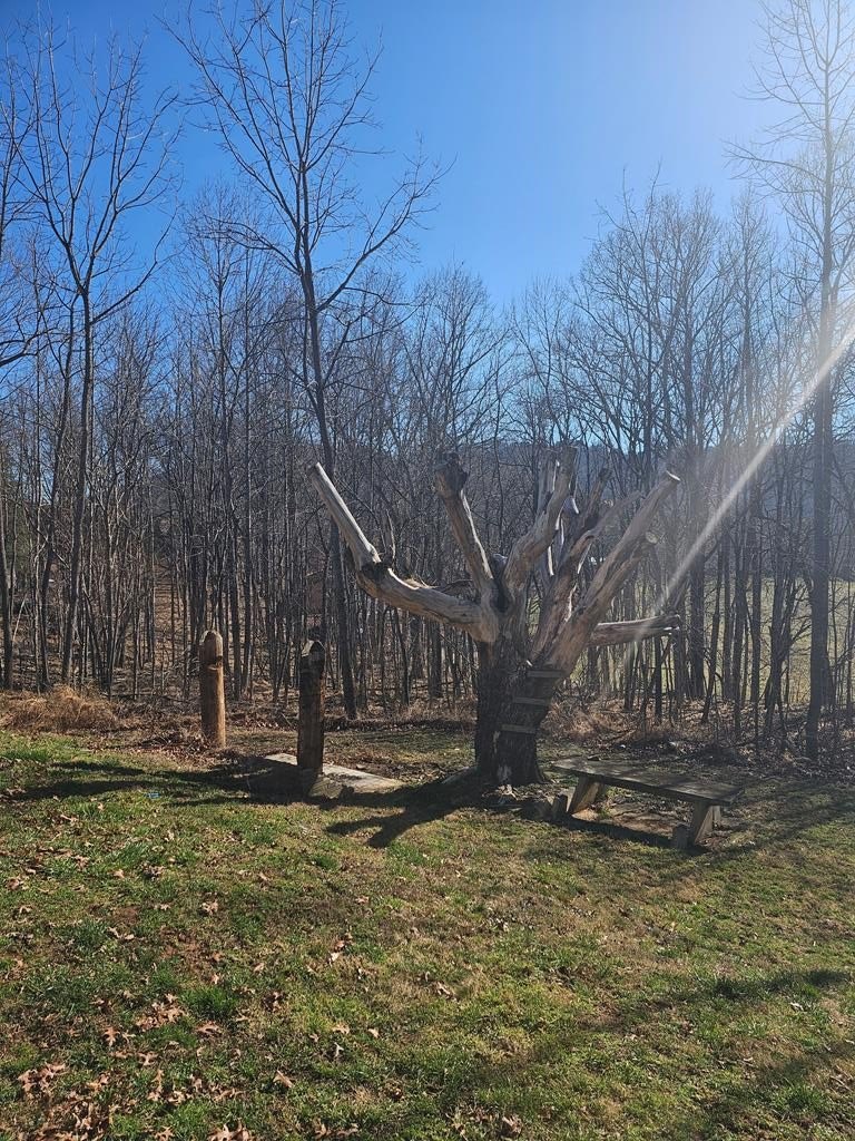 Single Family 3BR 2BA - 154 Shoe Factory Road, Blairsville, GA