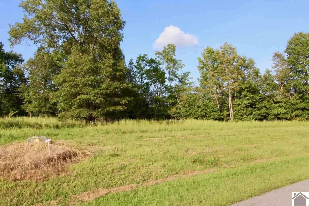 Other - Lot 83 Kelsey Jo, Eddyville, KY