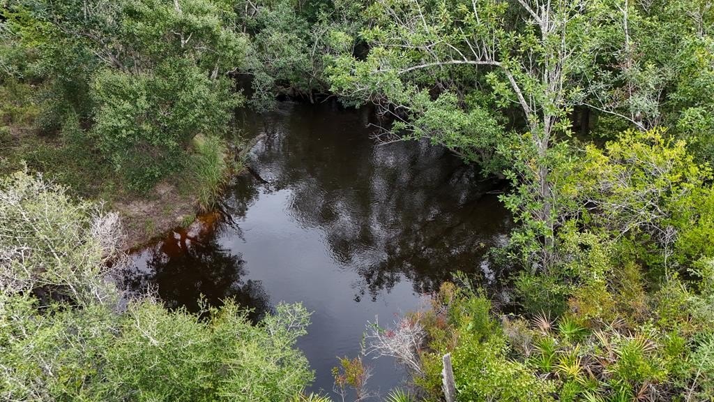 Other - Jarrott Daniels Rd, Wewahitchka, FL