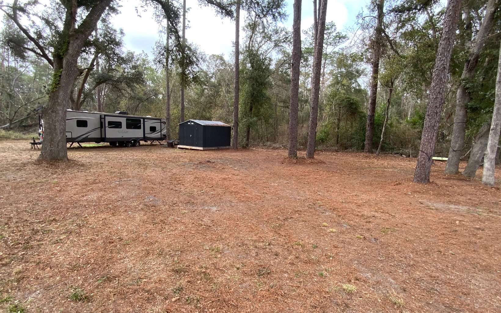 Single Family - TBD NE CAMPHOR LN, Lee, FL