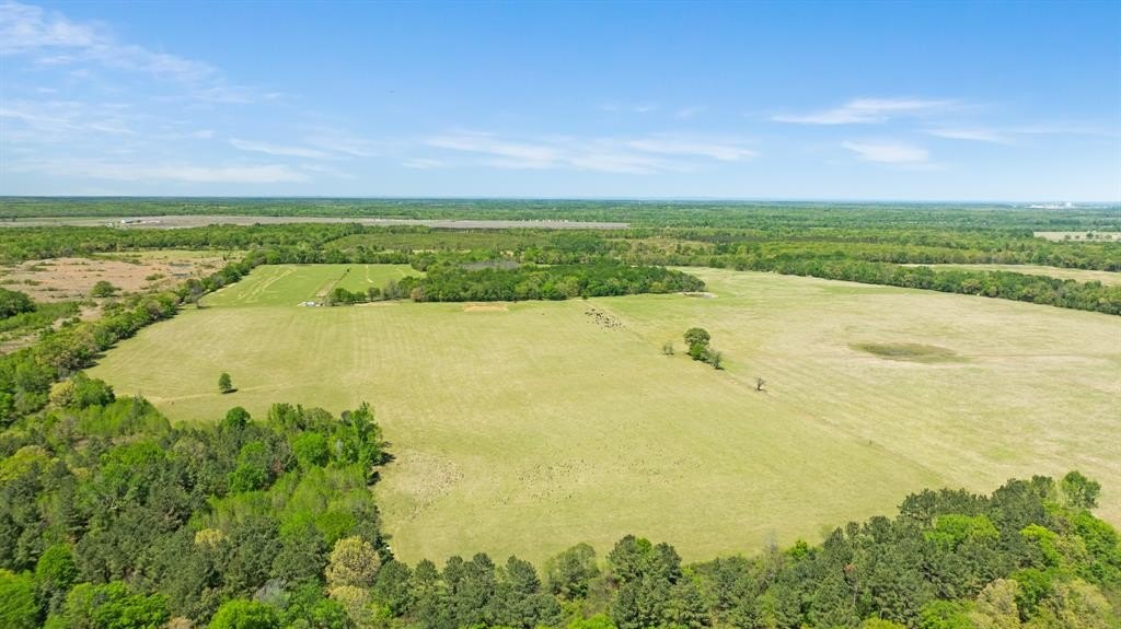 Other - 000 COUNTY ROAD 2356, Detroit, TX