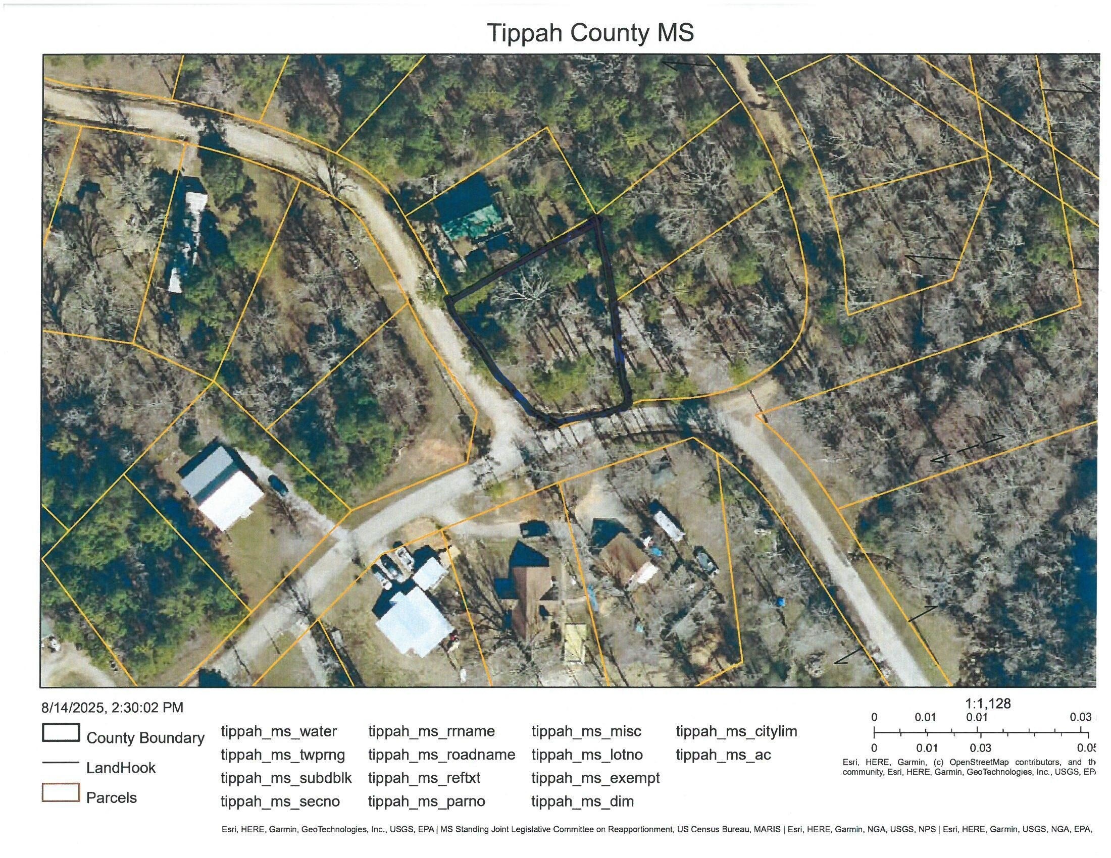 Single Family - 10 Co Rd 633, Booneville, MS