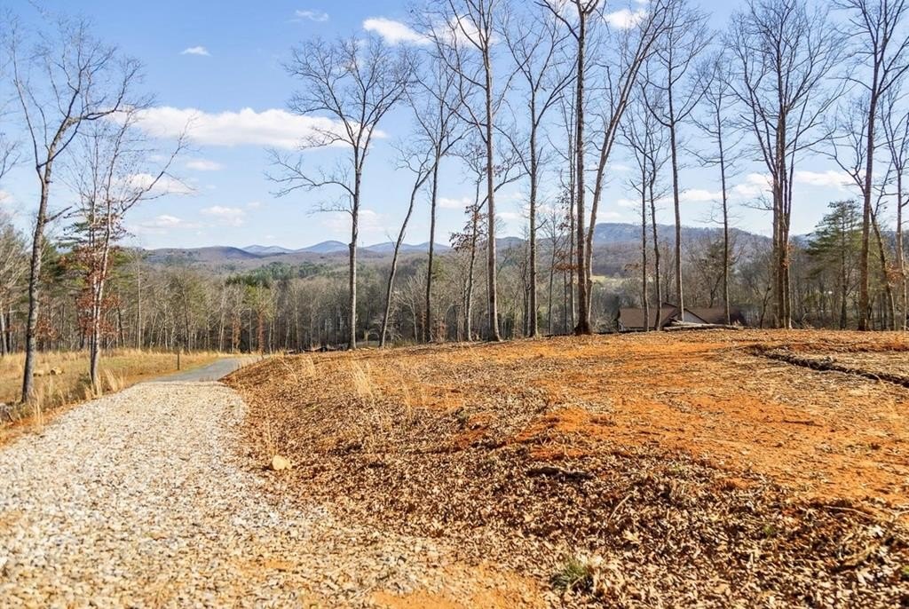 Other - Lot 85 Split Creek Road, Morganton, GA