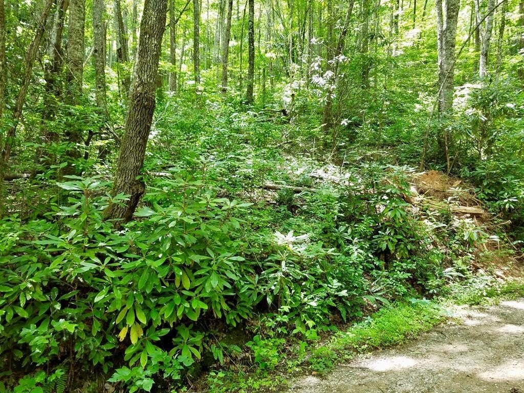 Other - Mountain Vista lot: 105, Bryson City, NC