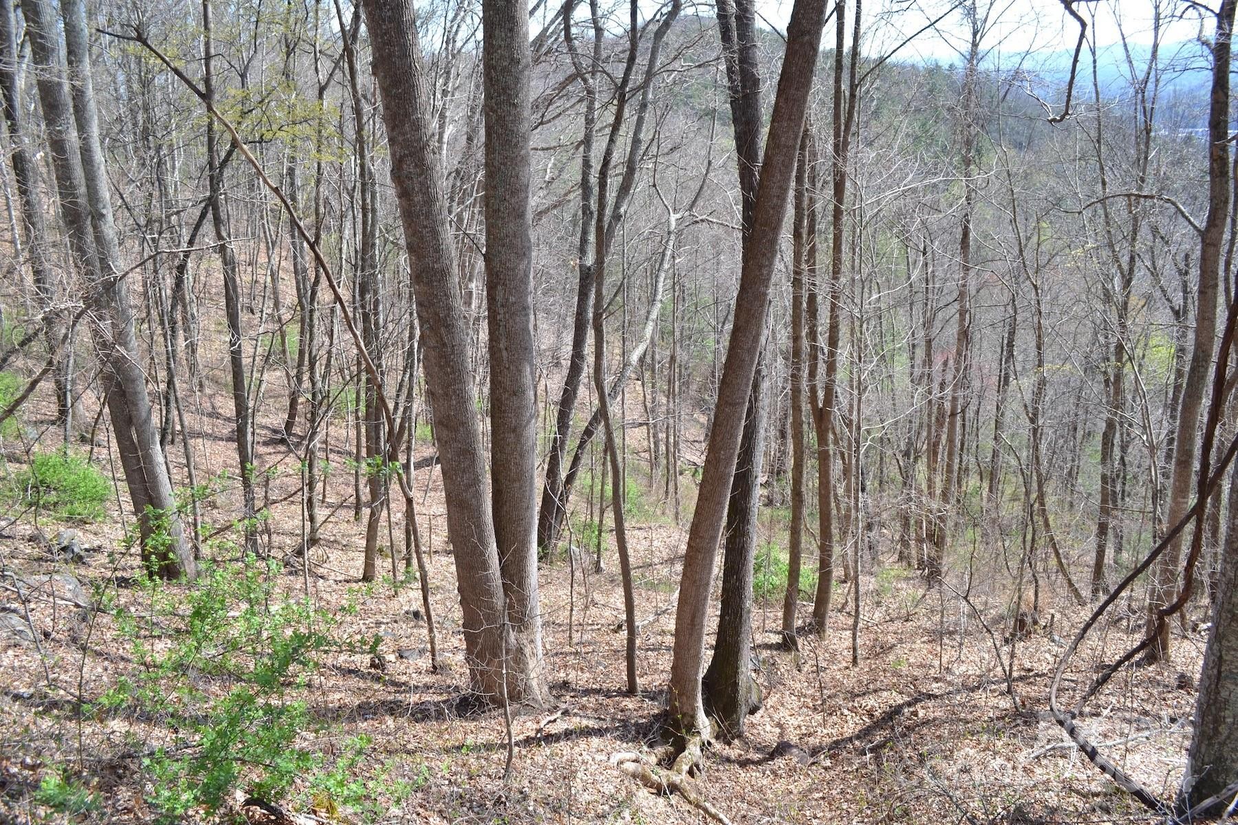 Other - Town Mountain Road lot: 9, Asheville, NC